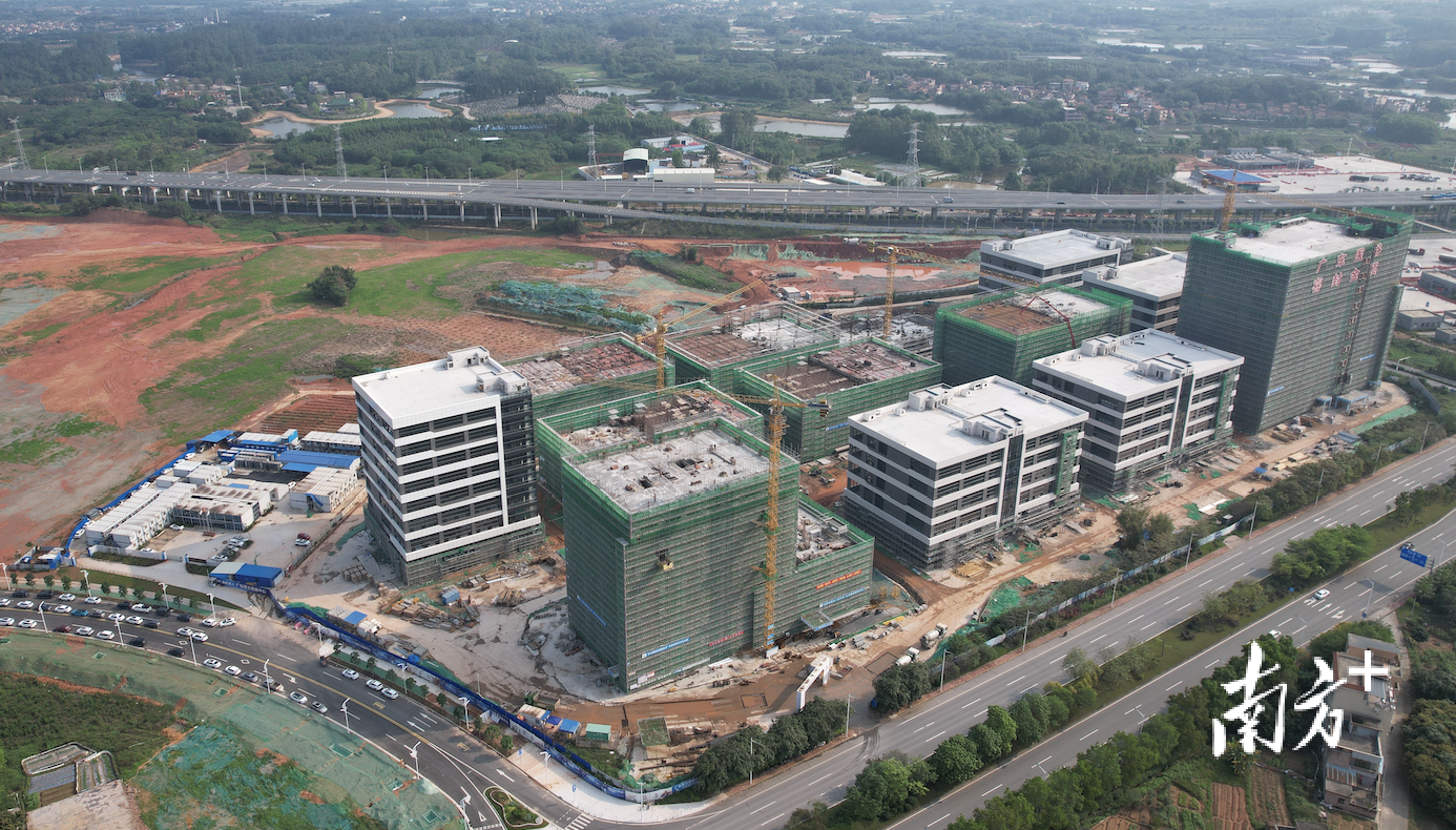 广东医谷·云东海生命科学园项目建设现场一片热气腾腾。三水工业园区管委会供图