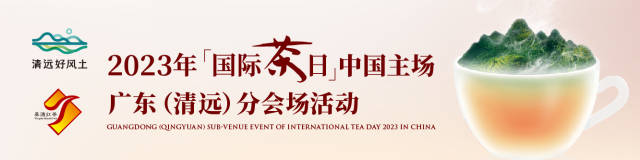 英德红茶，广东茶叶区域公用品牌影响力第一名！