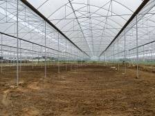 肇庆永丰镇探索“倒包返租”模式，让撂荒地变成致富地