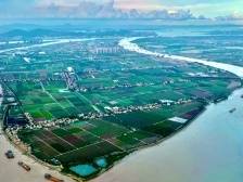 横沥镇：“新兴”向荣，工业谋变｜高质量发展朝“南”看