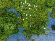 金融如何“碳”新路助绿美广东生态建设？