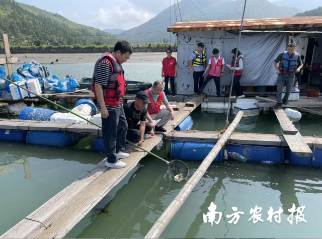 0  南方农村报 孙岁寒 拍摄