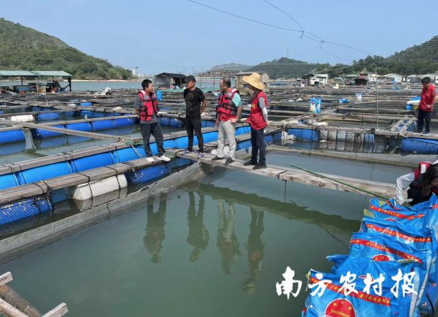 0  南方农村报 孙岁寒 拍摄