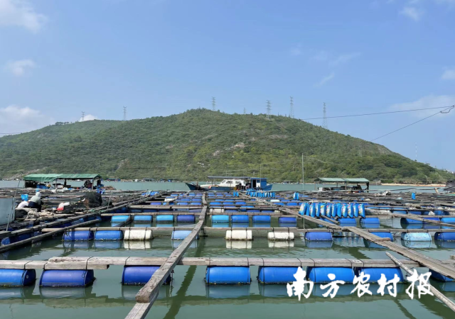 南方农村报 孙岁寒 拍摄