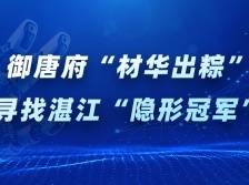 寻找湛江“隐形冠军”