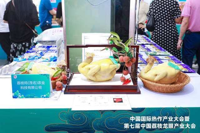 茂南荔枝林下经济新探索——荔枝鸡