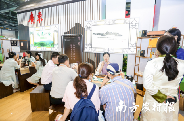 松园茶叙用茶——清远英德红茶亮相第五届茶博会广东展团综合展区。