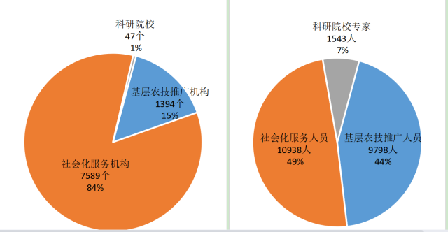 “轻骑兵”机构及人员总体分布占比图