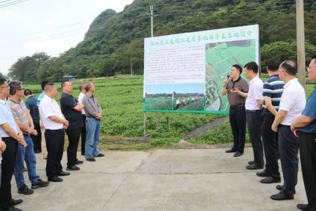 听取经验介绍。