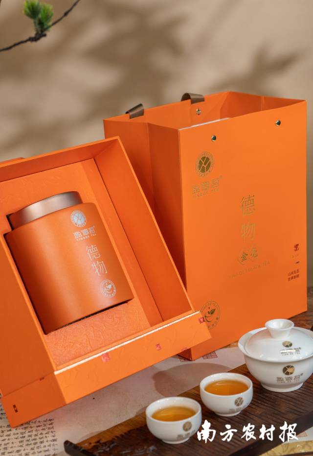 龍潤農(nóng)業(yè)的金毫紅茶,。受訪者提供