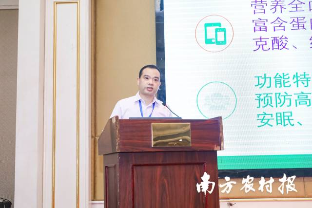 国家香蕉（芒果）产业技术体系岗位科学家王尉作报告