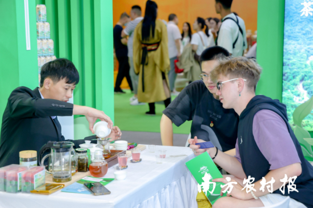 柏塘山茶展区对接火热。