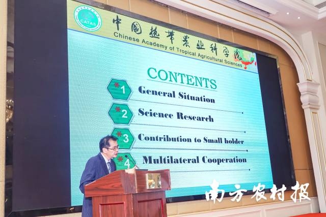 国家木薯产业技术体系首席科学家李开绵作报告  