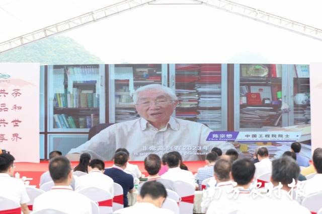 2023“国际茶日”中国主场广东分会场（清远）活动上，中国工程院院士陈宗懋视频致辞。