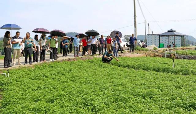实地观摩学习。