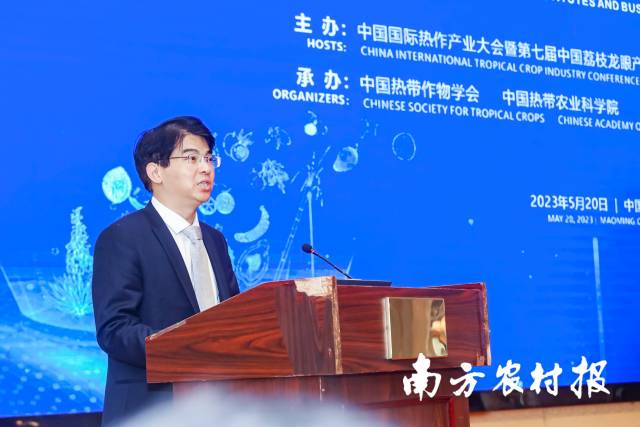 农业农村部南亚热作中心副主任陈忠毅在会上致辞 