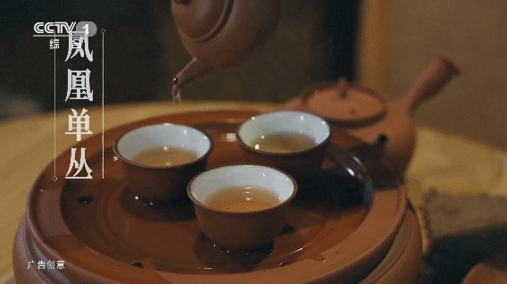 南方農(nóng)村報(bào) 樊靜東 拍攝
