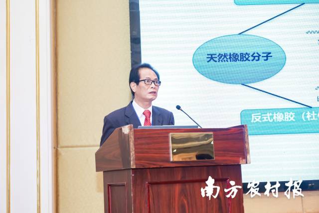 国家天然橡胶产业技术体系首席科学家黄华孙作报告 