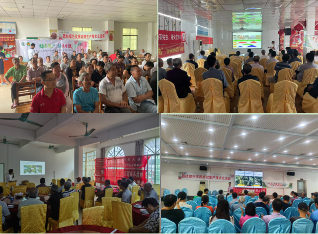 一个主会场四个分会场：惠州分会场（左上）；潮州饶平分会场（右上）；广州增城分会场（左下）；阳江阳西分会场（右下）