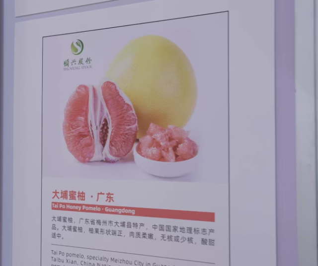 廣東英德紅茶,、潮州單叢茶,、大埔蜜柚、吳川月餅等地理標(biāo)志產(chǎn)品在專區(qū)展示展出,。