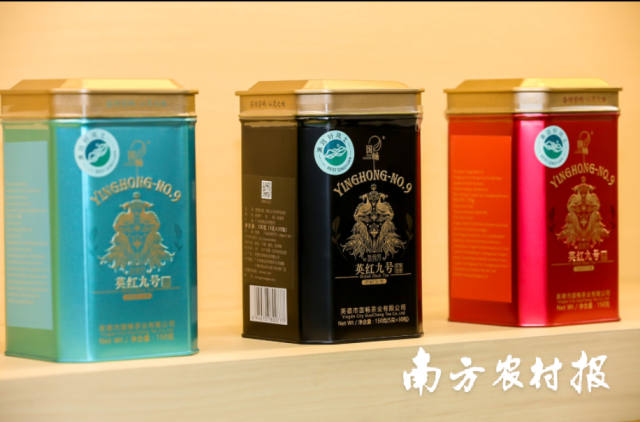 國(guó)暢茶業(yè)的英德紅茶產(chǎn)品,。