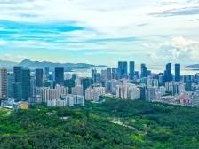 19连冠！去年深圳PCT国际专利申请量近全国1/4｜大湾区产城速递