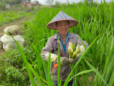 兴宁市新陂镇：党建赋能基层治理，为高质量发展夯实根基