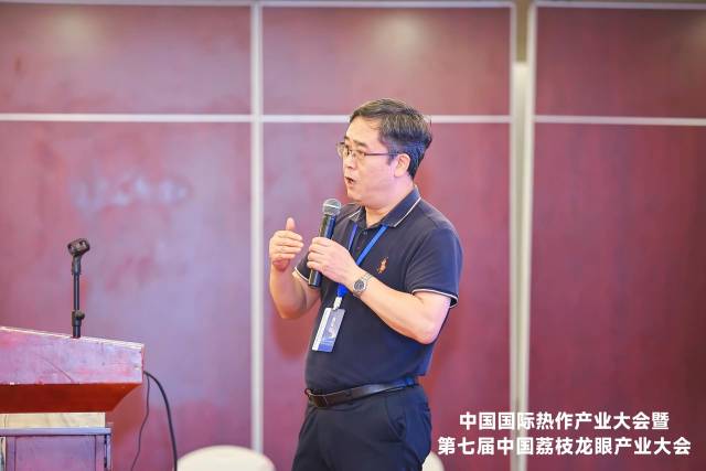 向旭详细介绍了克服荔枝大小年关键技术 