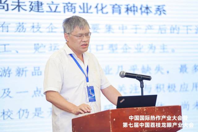 胡桂兵介绍荔枝新品种 