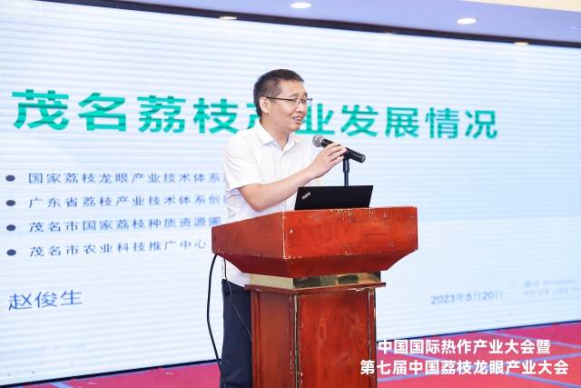 赵俊生介绍茂名荔枝产业发展情况 