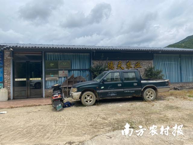 早期的德天农场