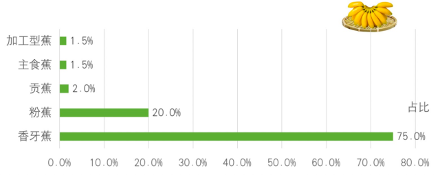 十四五粉蕉占比预计提高至20%，贡蕉占2%左右，主食蕉和加工型蕉开始发展，香芽蕉面积占下降到75%左右。