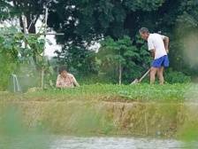 多年不种的水田，为何回来了？