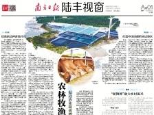 农林牧渔布局新品种 | 速览《南方日报·陆丰视窗》第6期