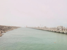 绿色化工与蓝色港湾的相遇｜滨海茂名 港城风采⑧