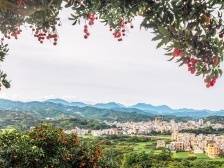 庄悦群：感恩奋进，加快推动综合实力整体跃升