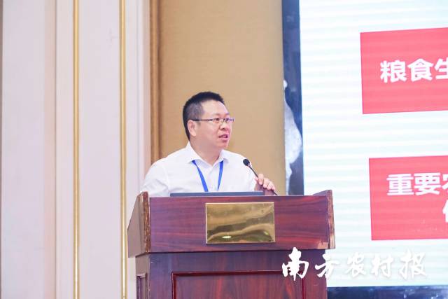 云南省农科院甘蔗研究所副所长刘新龙作报告