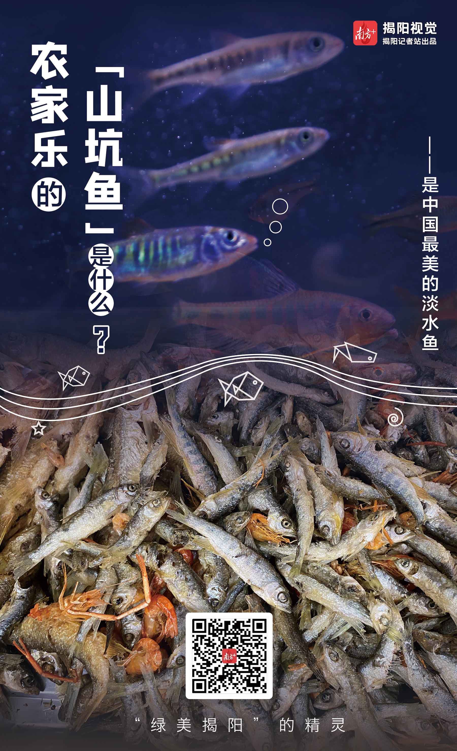 南方⁺ 程羽 制图