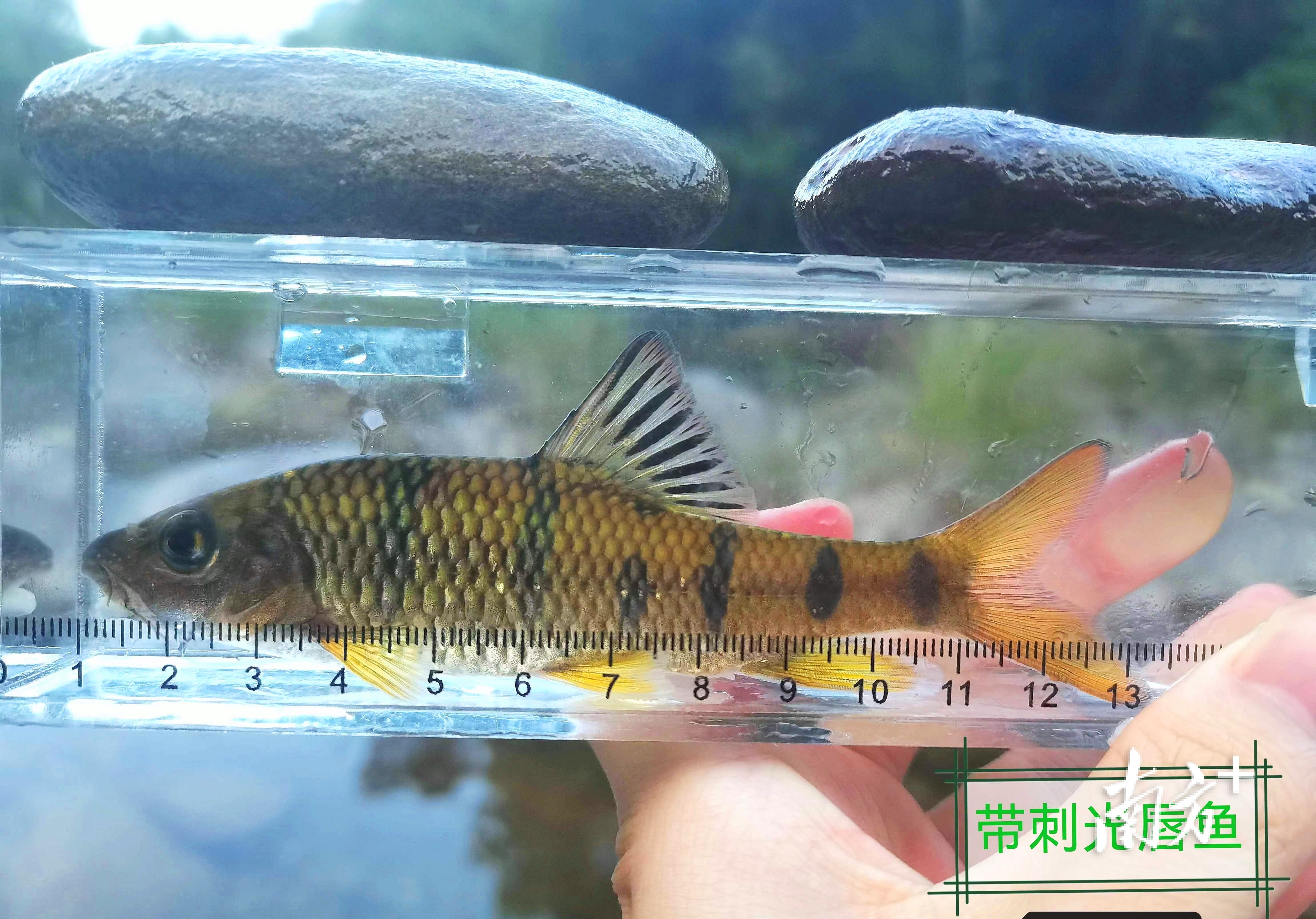    南方+ 林捷勇 拍摄