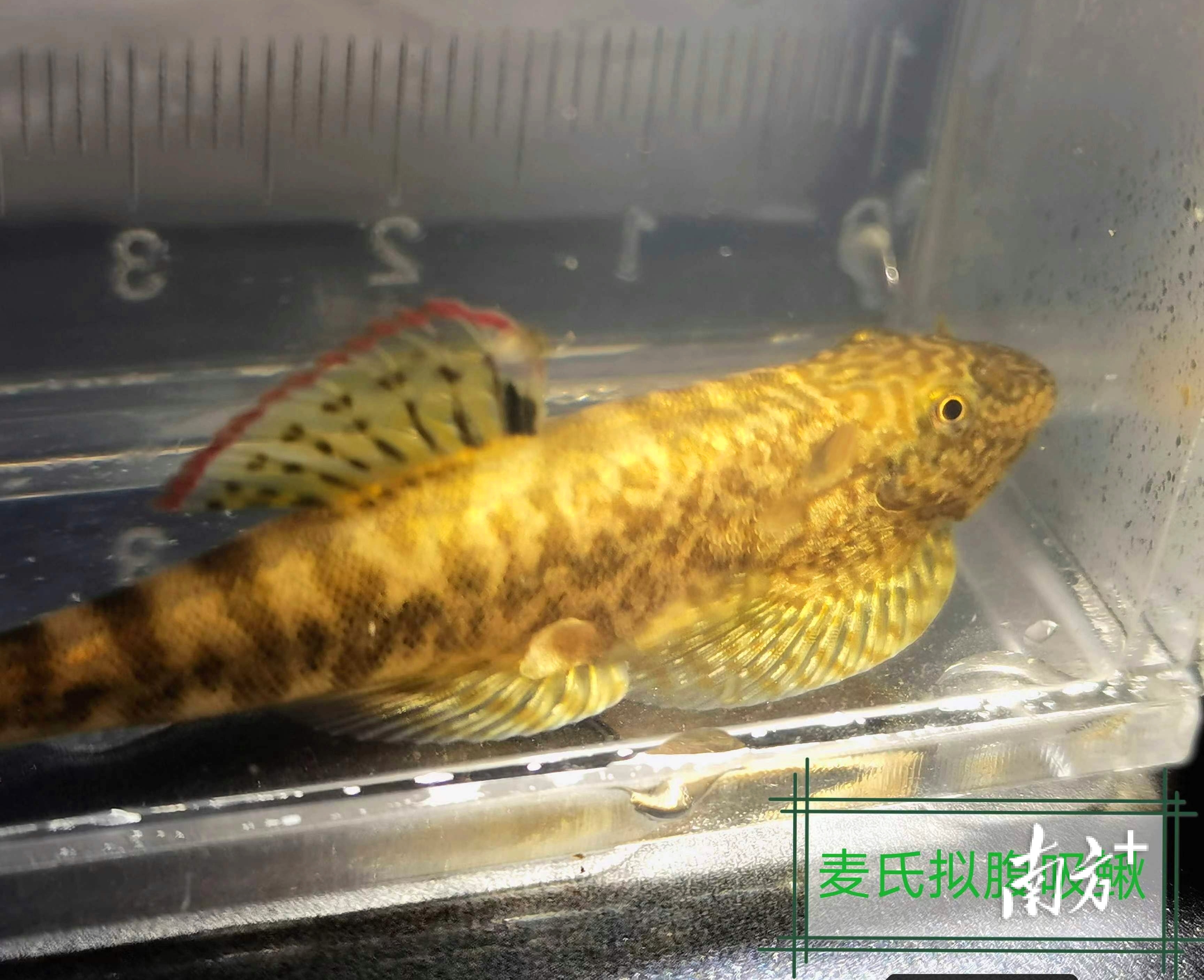    南方+ 林捷勇 拍摄