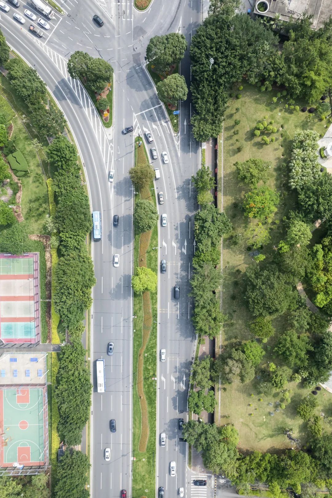 荣获一等奖，珠海这座公园和这条道路真美_南方plus_南方+