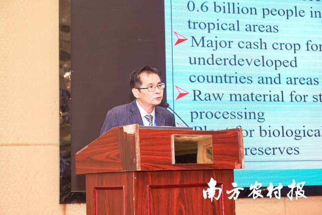 国家木薯产业技术体系首席科学家李开绵