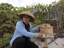 在中国最南端城市，有个濒危海龟保护“秘密基地”|探科技