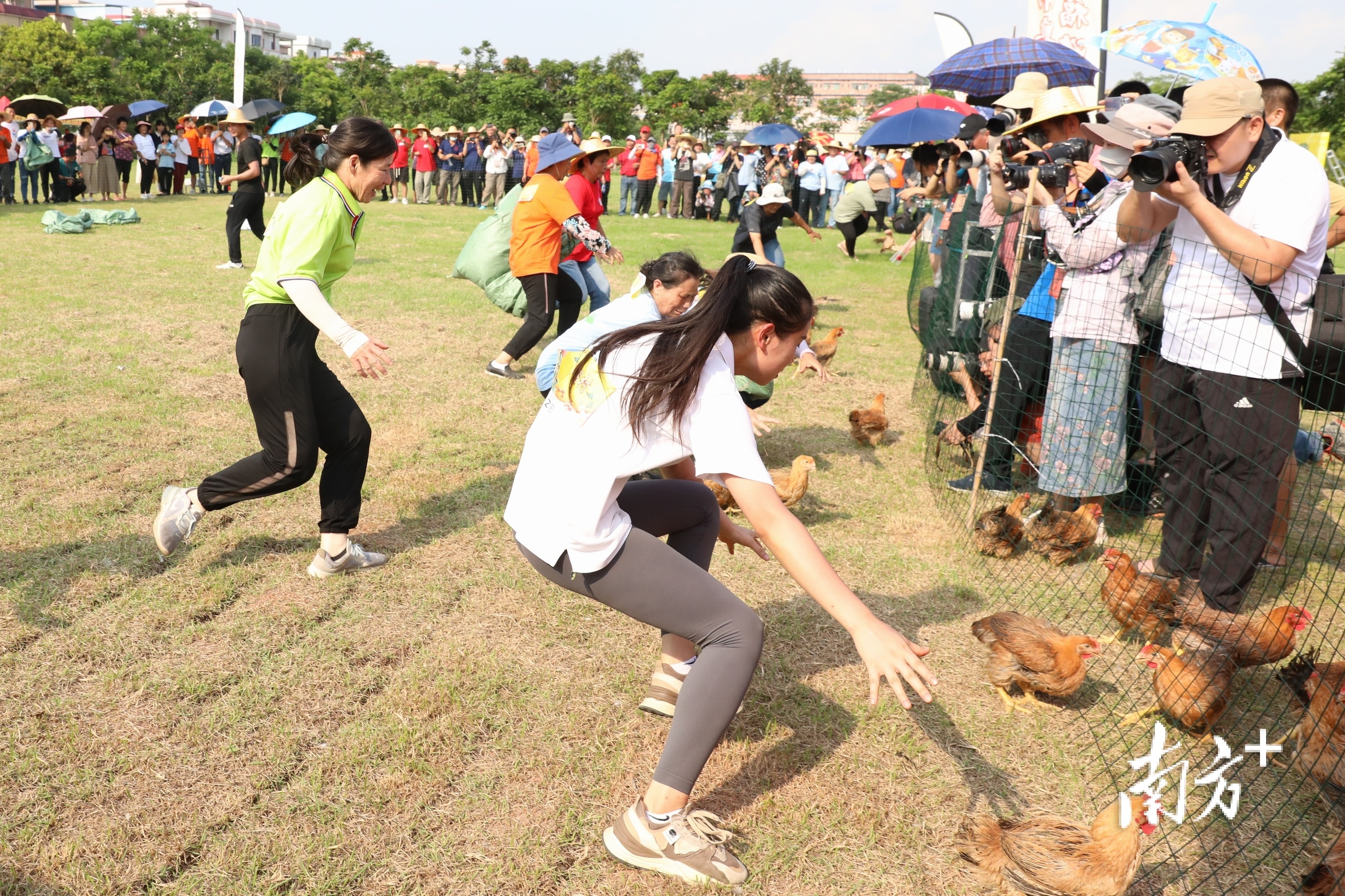 2023茶园游会真精彩