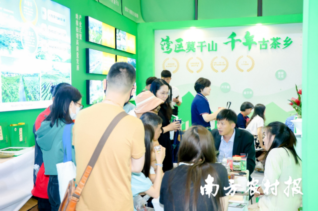 惠州柏塘山茶展会首日便签下超千万元大单