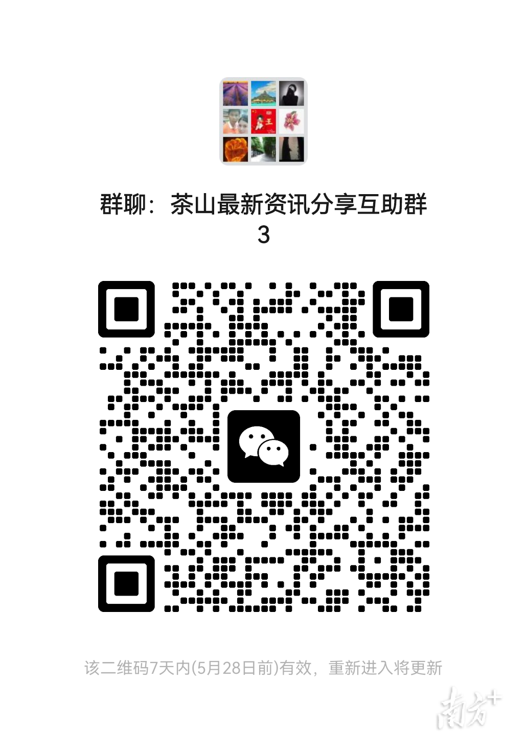 2023茶园游会真精彩