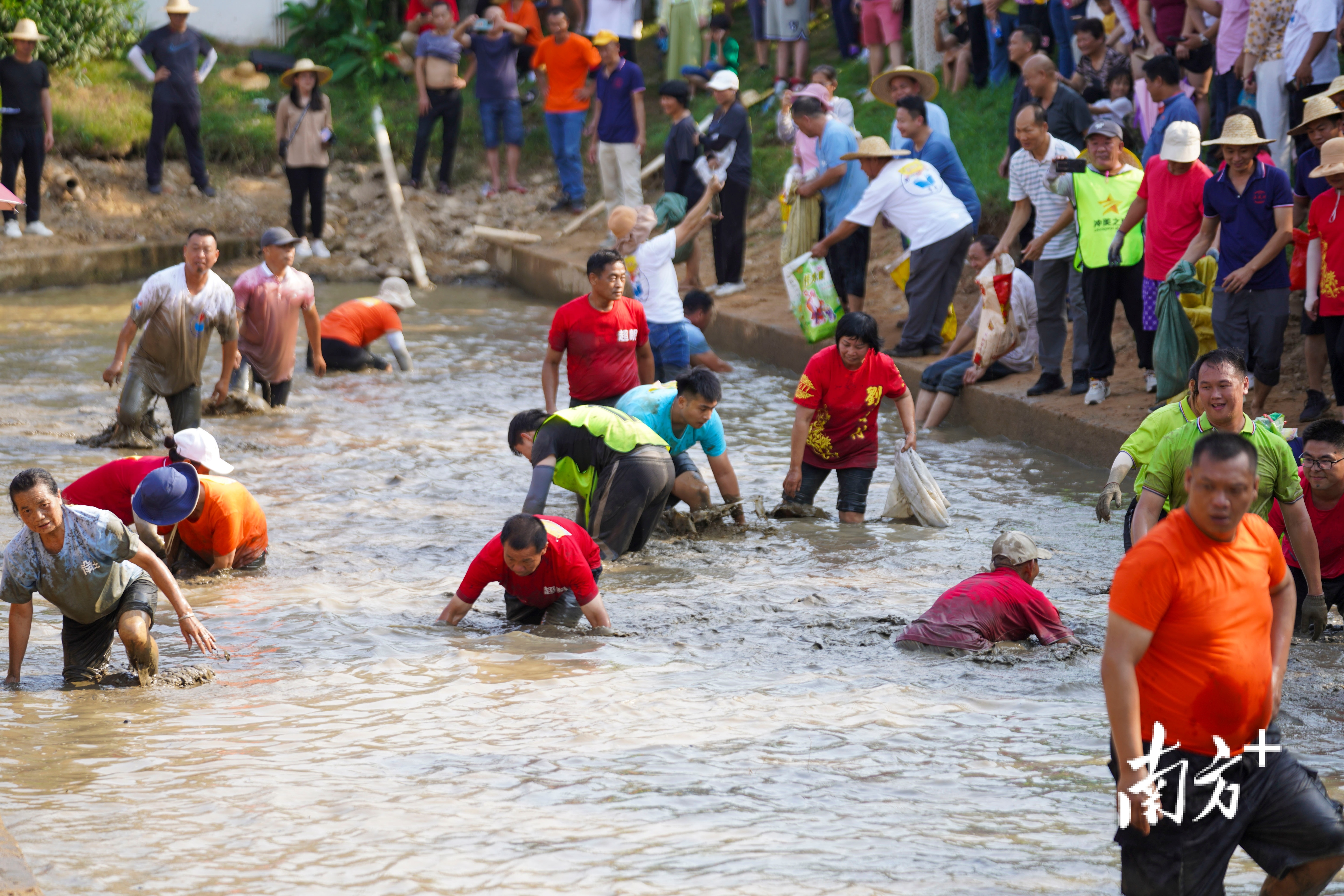 2023茶园游会真精彩