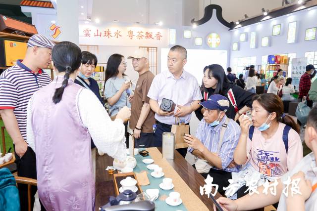 现场游客品鉴广东茶 