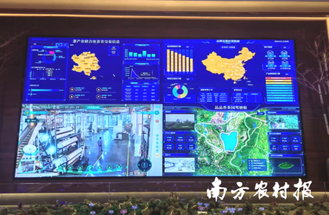 福鼎白茶大数据溯源平台系统。