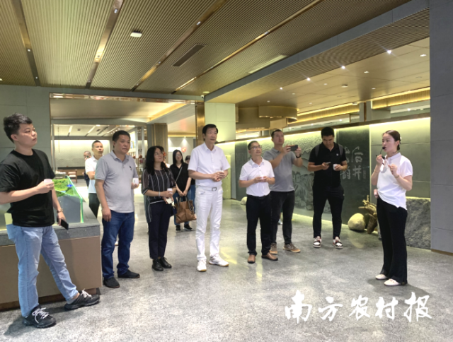 新会陈皮行业协会一行在福建顺茗道茶业有限公司了解白茶产业及非遗展示相关情况。